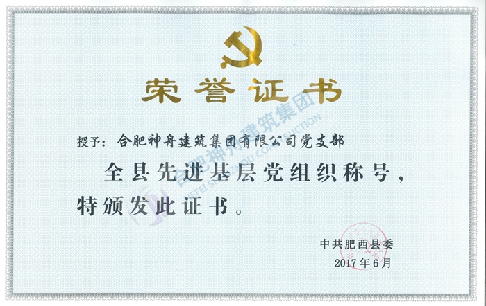 2017年肥西县先进党组织