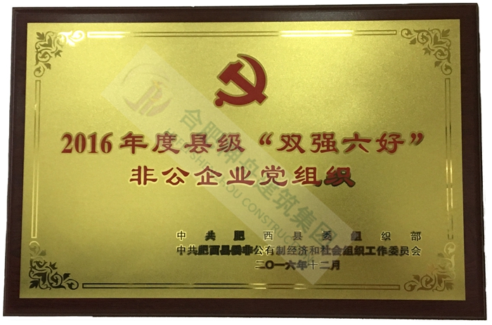肥西县“双强六好”非公企业党组织